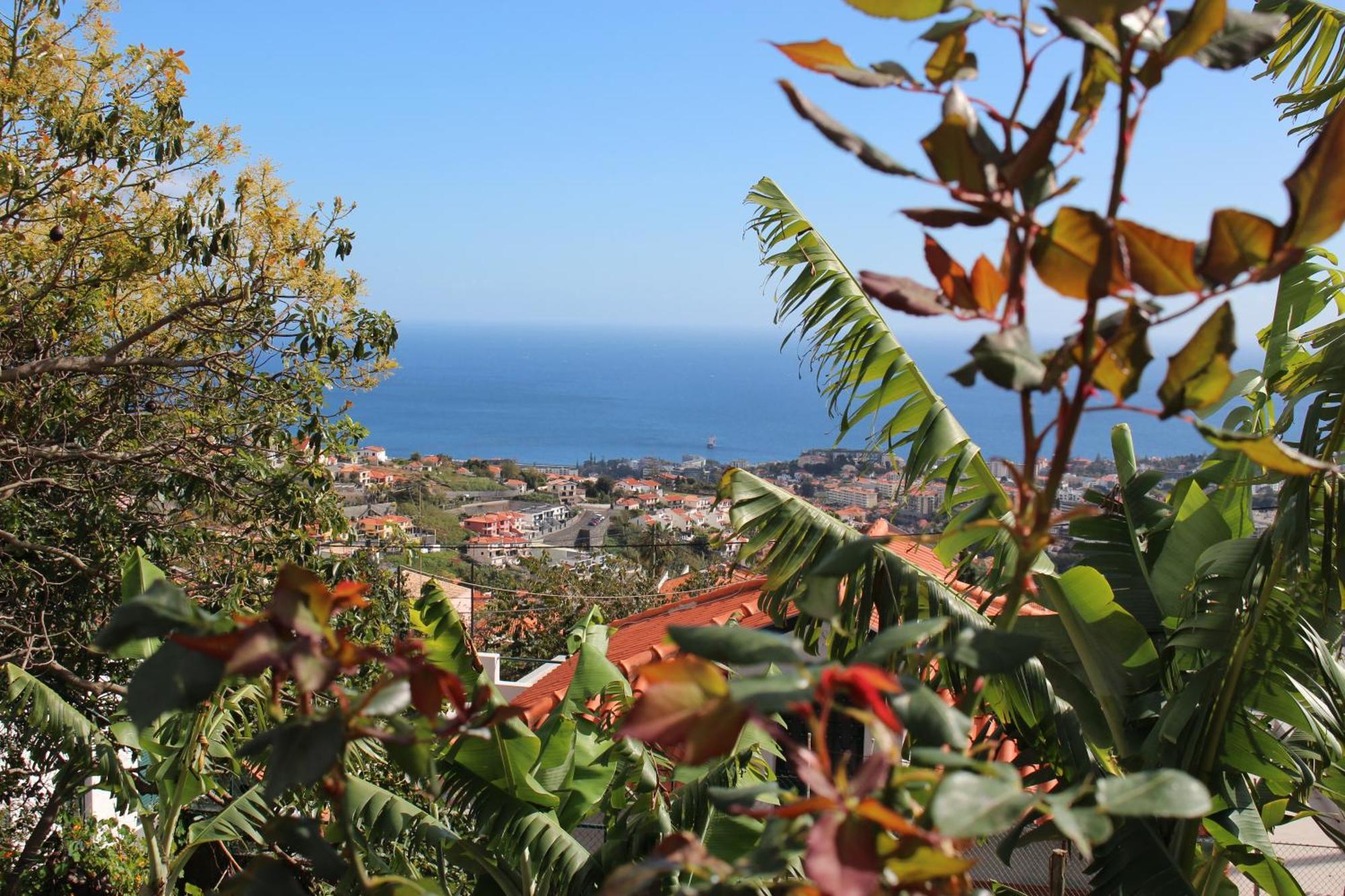 Alojamento Funchal - Silvestre House Екстериор снимка